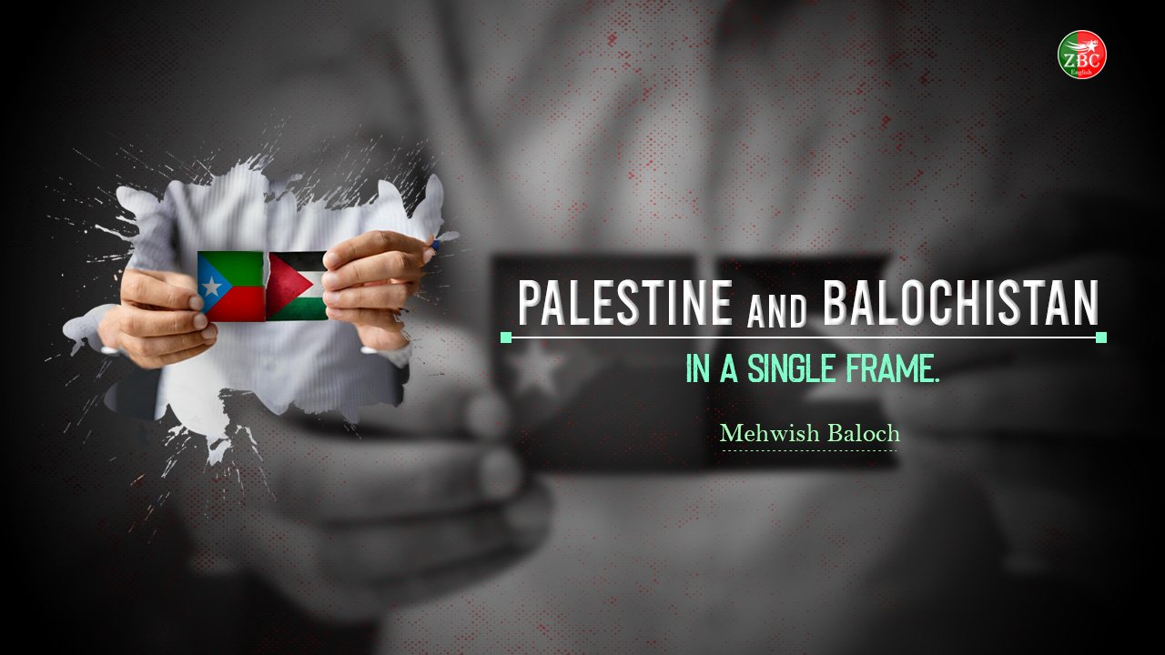 Palestine and Balochistan in a Single Frame
