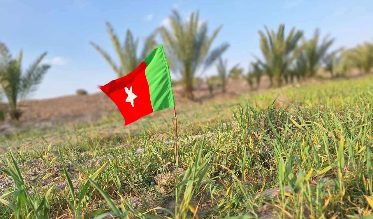 مرگاپ ءِ شھیدانی یاد ءَ نیاد: شھید واجہ گلام مھمد ءَ مارا دیمونی دیگ ءِ سکین داتگ۔