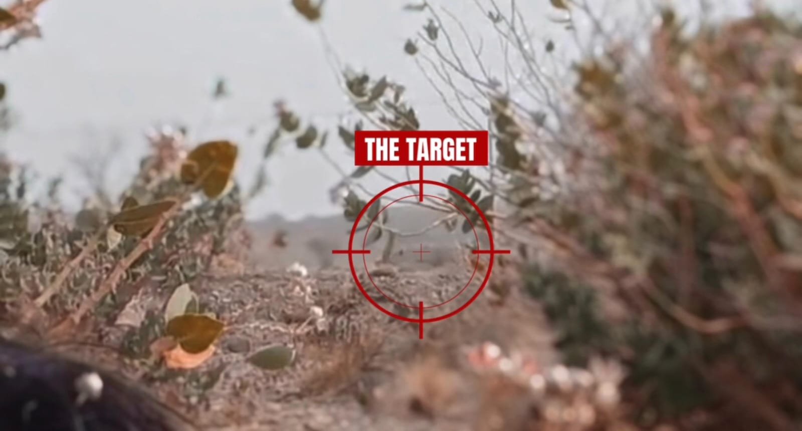 بی ایل یپ ءَ بلیدہ ءُ شھرک اُرش ءِ تامر شنگ کرتگ