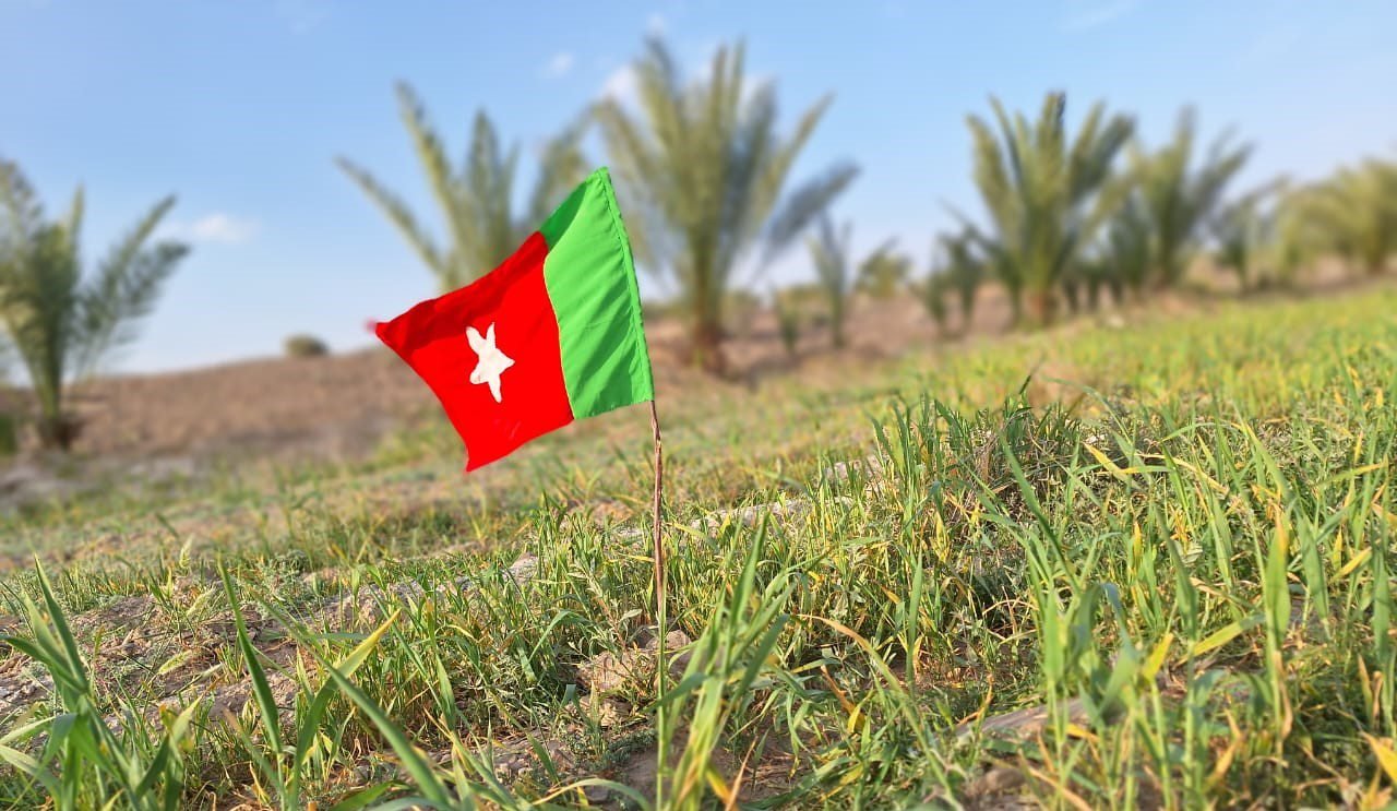 بلوچستان ءِ ڈگارانی سر ءَ زورگپتی ءُزورگری شونداتانی تباہ کاری: بی این ایم ءِترندیں پژدر