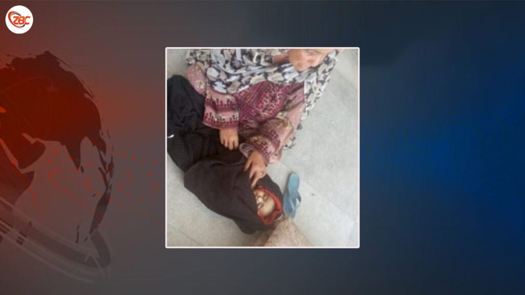 اوتل ءَ چہ  پاکستانی پوج ءِ  بسانی دارگ ءَ نادراھیں زھگے بیران بوتگ